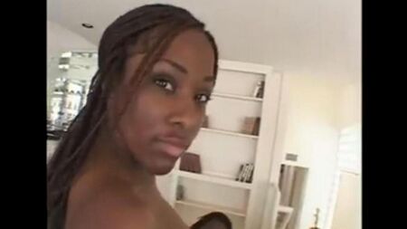 Une bite pénètre dans le vagin d'une femme noire