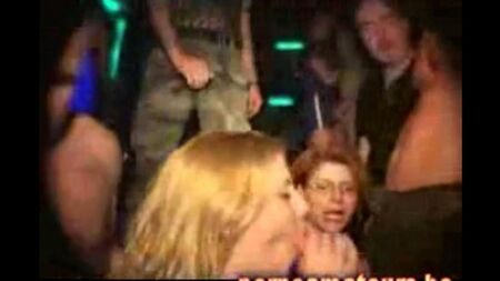 Les poussins bouclés reposent dans le club