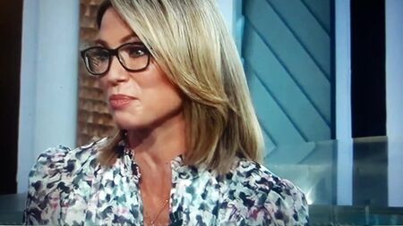 Les jambes d'Amy Robach