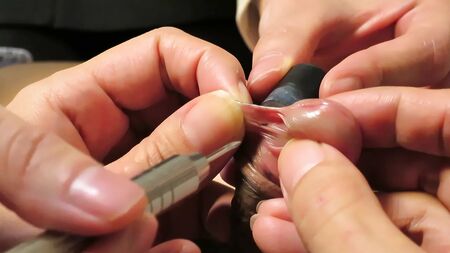 se faire percer le frein du pénis