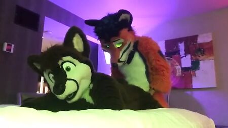 Deux furries gays en train de baiser 2