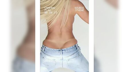 Jelena Karleusa, fin