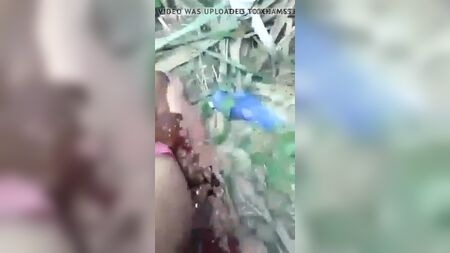 Une copine de village desi en train de baiser dans les champs