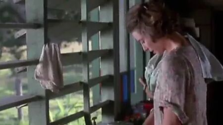La Fille de l'avocat (1987)