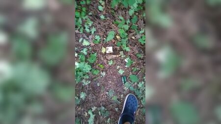 Lieu de rencontre en plein air dans les environs de Graz
