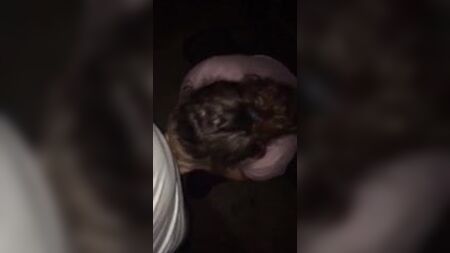 Dirtygirl614 suce une bite et se fait baiser sans capote par un inconnu
