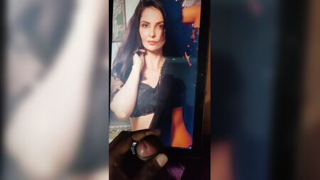 Rukhsar Rehman : Hommage n° 1