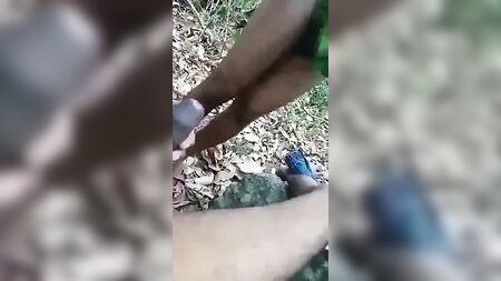 Sexe gay tamoul en plein air