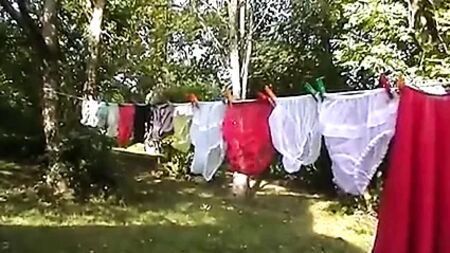 Une multitude de culottes 7