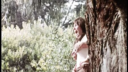 Au sud de la frontière (1976, États-Unis, film complet, copie DVD)