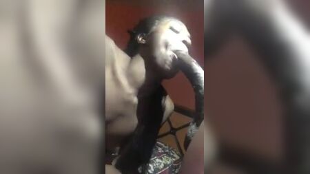 TRANNY DÉVORE UNE GROSSE BITE NOIRE DE TAILLE 12