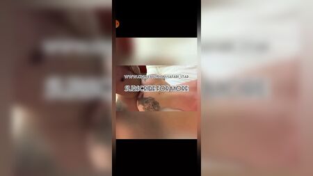 Compilation « Ts Safari Star »