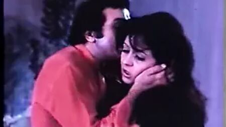 Nour El Sherif et Zizi Mostafa
