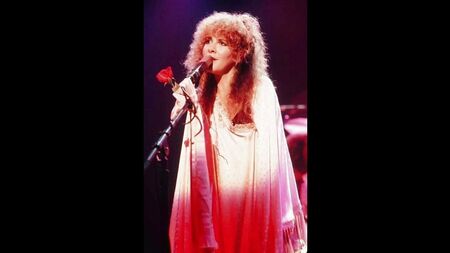 La sexy Stevie Nicks !