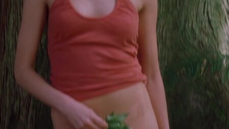 Nous ne vivons plus ici (2004)