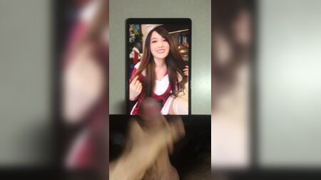 Poupées en peluche d'un streamer Twitch (AngelsKimi) : hommage