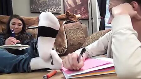 Adoration des pieds chez une lesbienne distraite