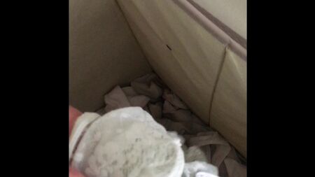 Une culotte sale de taille 8 trouvée dans le panier à linge