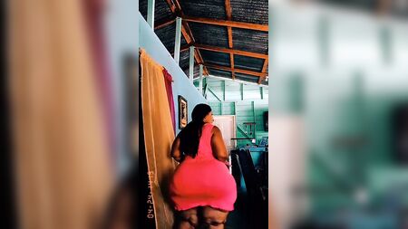 Pauline, la jolie petite chatte latine