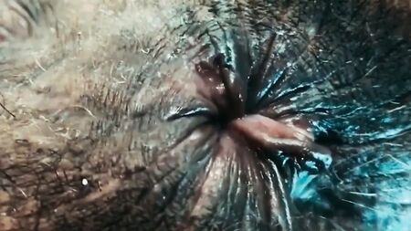 COMPILATION DE CULS POILUS ET COCHONS, FÉTICHISME DES ANUS SALE ET EN SUERURES