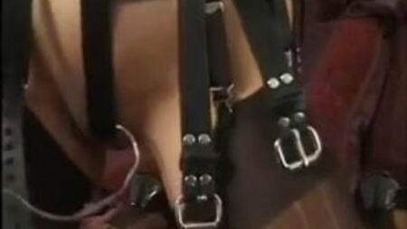 Bondage avec harnais