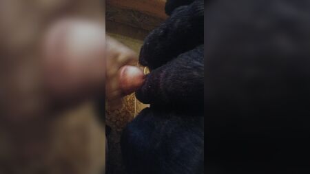 Éjaculer sur un manteau en fausse fourrure noire
