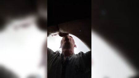 Sucer la bite d'un cheval