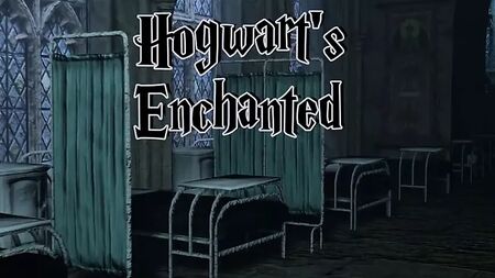 Harry Potter - Jeu porno en 3D