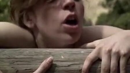 Une fille aux gros seins se fait baiser en plein air