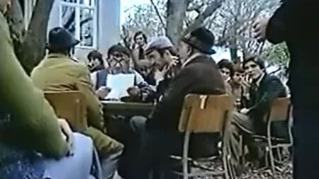 Zerrin Egeliler - Feuille fanée
