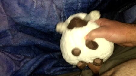 Rencontres intimes avec la peluche Pokémon Wooloo