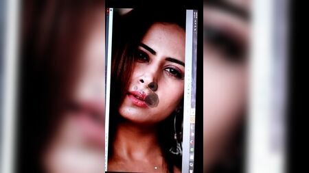 Sargun Mehta : un hommage