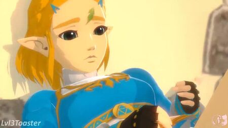 xndevinegifvideo Lvl_3_Toaster Princesse_Zelda Son La_Gende_de_Zelda neroupii