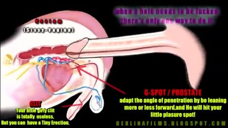 Comment atteindre l'orgasme anal ! A voir absolument [sissy, shemale, trap, orgasm, cum, sex, slut]