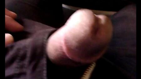 J'ai sorti un membre dans le bus et j'ai commencé à se branler