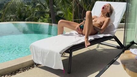 Les vacances d'une chatte solitaire