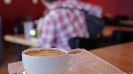 Le gars a ramassé un asiatique dans un café et baisé