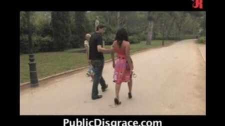Sexe public dans le parc pour de l'argent