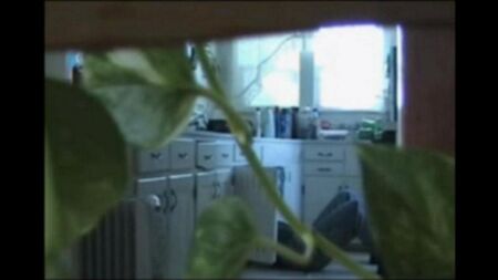 Un couple marié nu se promène dans l'appartement et baise