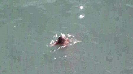 Paire nue en mer