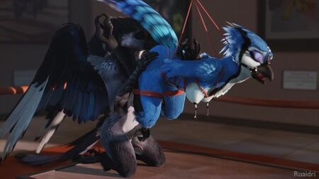 3D Yiff par ruaidri - Porno furry - Sexe - E621 - Femme - Oiseau - Bondage - BDSM