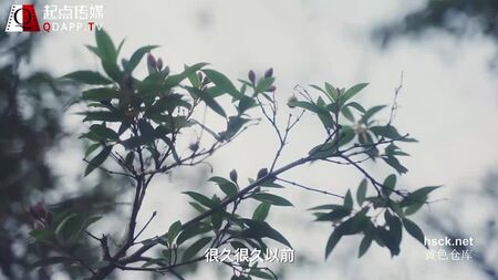 Qidian Media XSJ 007 : La Belle au bois dormant. Le prince, la méchante princesse et l'amour