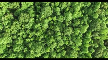 Vidéo par Audio Stories. Histoires d'infidélité. Histoires tirées de la vie réelle