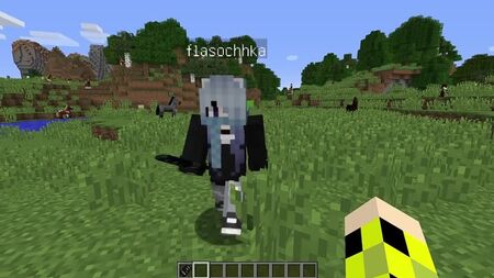 [Naisik Bro] SI TU VOIS CE MAUDIT TIMIDE PRÈS DE CHEZ TOI, COURS VITE DANS MINECRAFT ! SCP 096 SHY GUY MINECRAFT