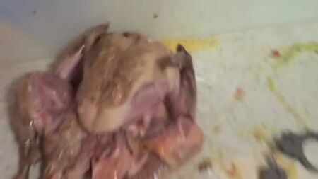 [HowToBasic] Comment farcir une dinde