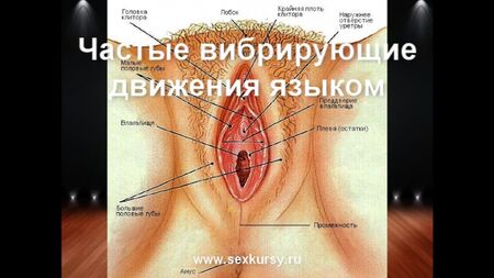 Comment pratiquer correctement le cunnilingus, l'orgasme, le sexe anal et la masturbation