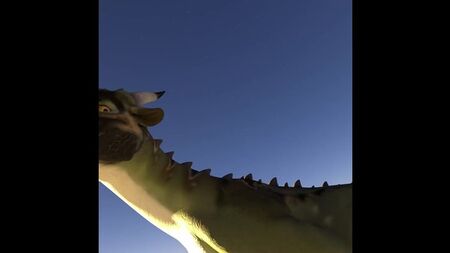 Dragon : tour complet en vue subjective