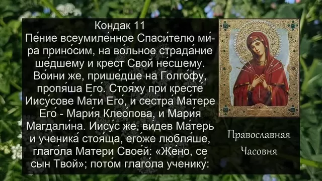 Толық метражды порно онлайн