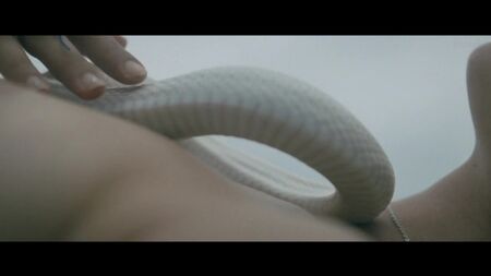 Paz de la Huerta, Dianna Agron, etc. Nues - Bare (2015) Regarder en ligne / Dianna Agron, Paz de la Huerta - Nues