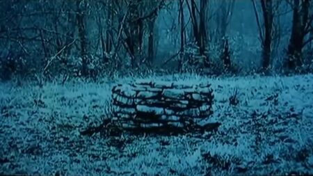 Monstres en 3D : Sadako_1080p - The Ring : vidéo porno hentai selon la règle 34